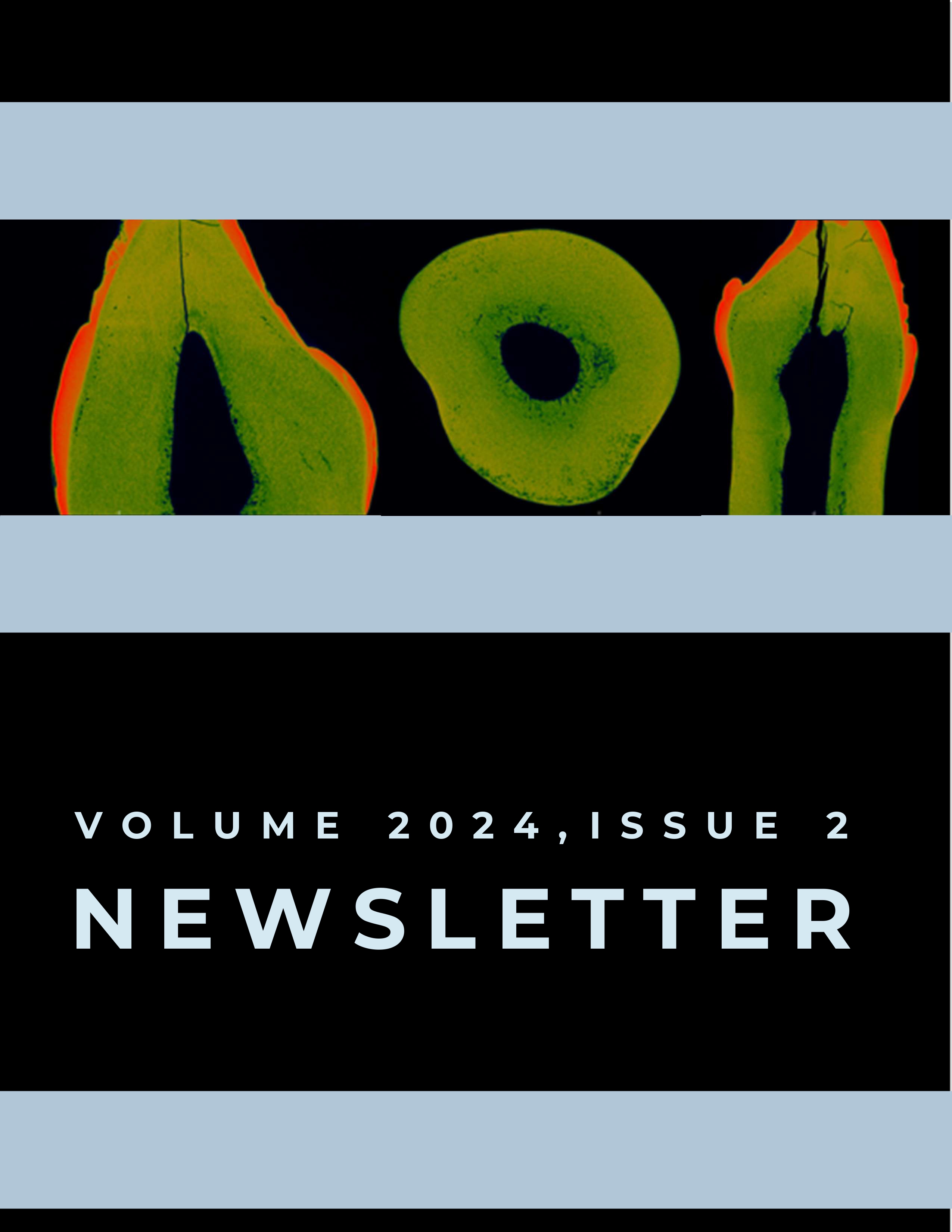 Cover image of CABA Newsletter Volume 2024 Issue 2, featuring a microCT image of a tooth.